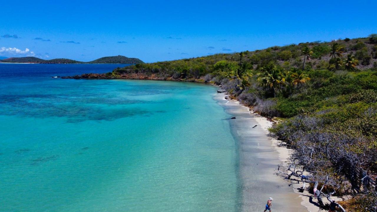 The New Caribbean Paradise Apartman Fajardo Kültér fotó